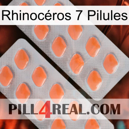 Rhinocéros 7 Pilules 27